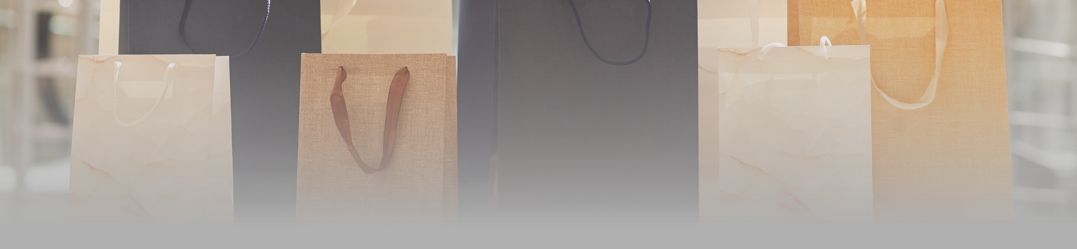 blog footer banner(1080 x 250 px)